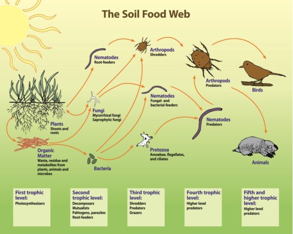 About – Selvig Environmental